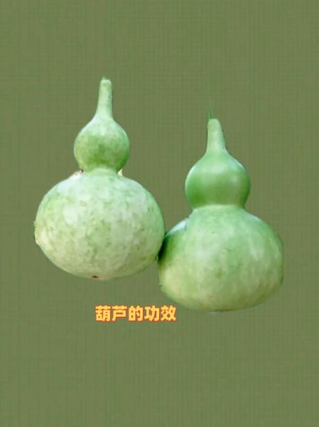 孕妇能吃葫芦瓜吗_葫芦瓜对胎儿有影响吗-第3张图片-星辰妙记