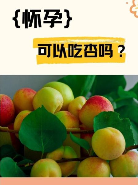孕妇能吃桃子和杏子吗_孕期吃桃杏的注意事项-第3张图片-星辰妙记