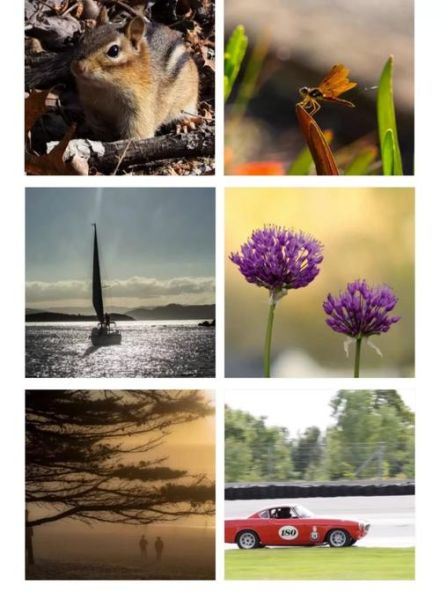 奥林巴斯人像镜头推荐_哪个焦段最适合拍人像-第2张图片-星辰妙记