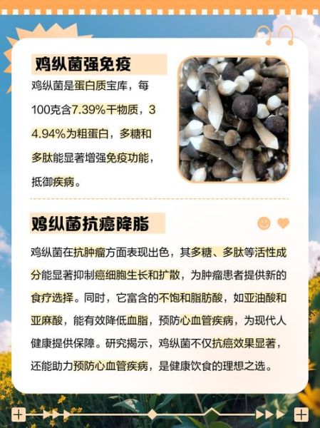 孕妇可以吃鸡纵菌吗_孕期吃鸡纵菌注意事项-第1张图片-星辰妙记