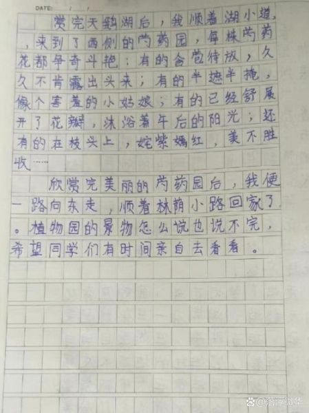 四年级下册第一单元作文怎么写_如何写出春游趣事-第1张图片-星辰妙记 四年级下册第一单元作文怎么写_如何写出春游趣事-第1张图片-星辰妙记