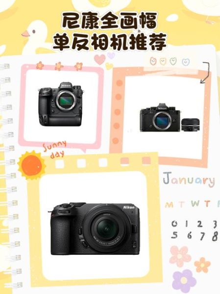 尼康全画幅单反镜头怎么选_尼康全画幅单反镜头推荐-第2张图片-星辰妙记