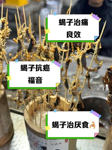 孕妇能吃蝎子吗_孕期吃蝎子安全吗-第1张图片-星辰妙记 孕妇能吃蝎子吗_孕期吃蝎子安全吗-第1张图片-星辰妙记