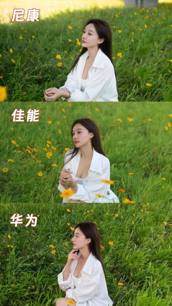 手机镜头大小怎么看_手机镜头越大拍照越好吗-第1张图片-星辰妙记