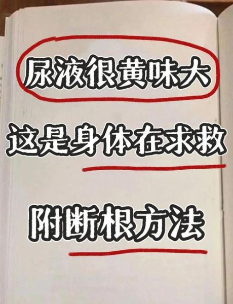 孕妇尿液味道很重_正常吗-第2张图片-星辰妙记