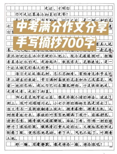 中考满分作文怎么写_中考作文700字如何得高分-第1张图片-星辰妙记