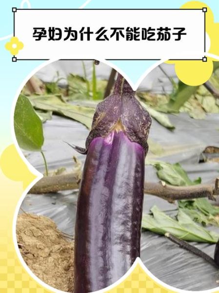 孕妇为什么不能吃茄子_孕期吃茄子对胎儿有影响吗-第1张图片-星辰妙记