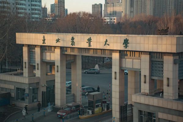 东北农业大学地址在哪里_怎么去最方便-第2张图片-星辰妙记