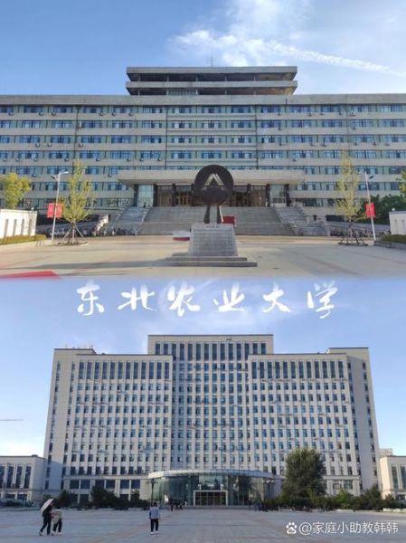 东北农业大学地址在哪里_怎么去最方便-第3张图片-星辰妙记