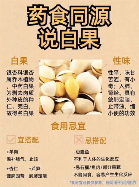 白果孕妇可以吃吗_孕妇吃白果的风险与替代方案-第1张图片-星辰妙记 白果孕妇可以吃吗_孕妇吃白果的风险与替代方案-第1张图片-星辰妙记