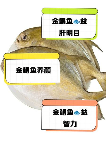 孕妇可以吃金鲳鱼吗_金鲳鱼营养价值与禁忌-第1张图片-星辰妙记