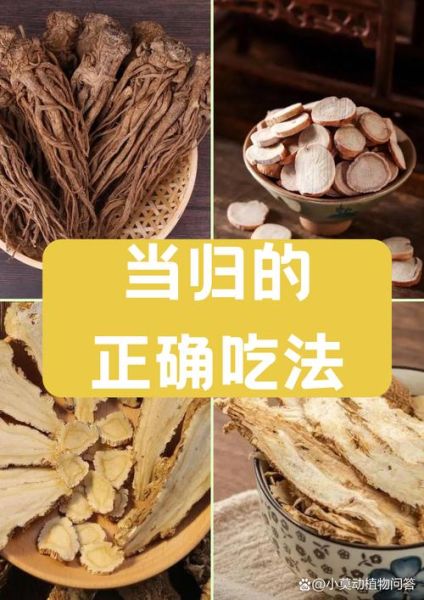孕妇能吃当归吗_当归对孕妇有什么影响-第2张图片-星辰妙记