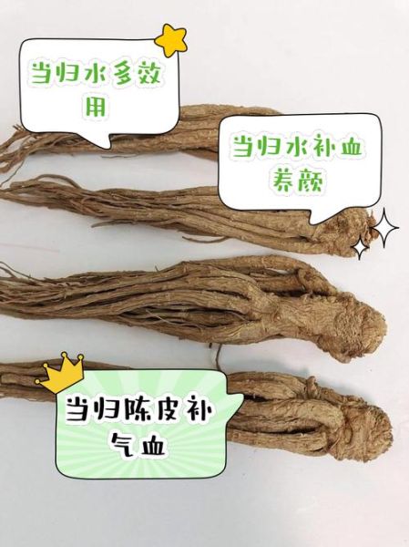 孕妇能吃当归吗_当归对孕妇有什么影响-第3张图片-星辰妙记