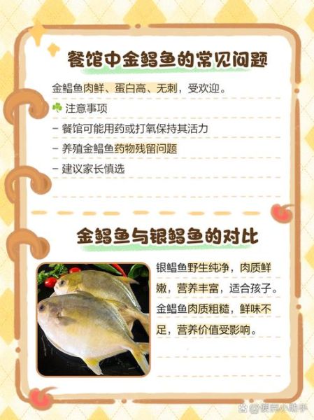 孕妇可以吃金鲳鱼吗_金鲳鱼营养价值与禁忌-第2张图片-星辰妙记