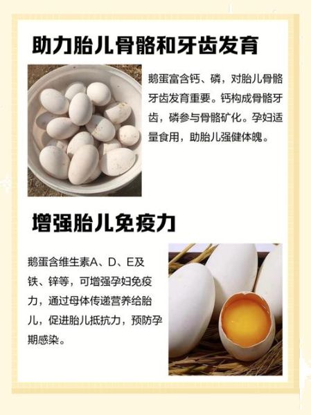 孕妇能吃鹅蛋吗_鹅蛋对胎儿有什么好处-第1张图片-星辰妙记