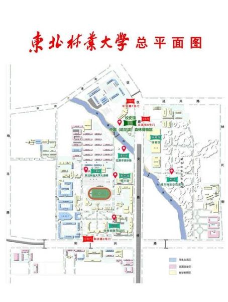 东北林业大学地址在哪里_交通路线怎么走-第1张图片-星辰妙记 东北林业大学地址在哪里_交通路线怎么走-第1张图片-星辰妙记