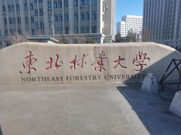 东北林业大学地址在哪里_交通路线怎么走-第3张图片-星辰妙记 东北林业大学地址在哪里_交通路线怎么走-第3张图片-星辰妙记