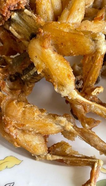 孕妇可以吃田鸡吗_孕期吃田鸡的风险与好处-第3张图片-星辰妙记