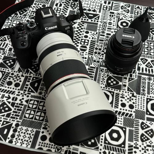 大变焦镜头推荐_哪款大变焦镜头适合旅行-第2张图片-星辰妙记