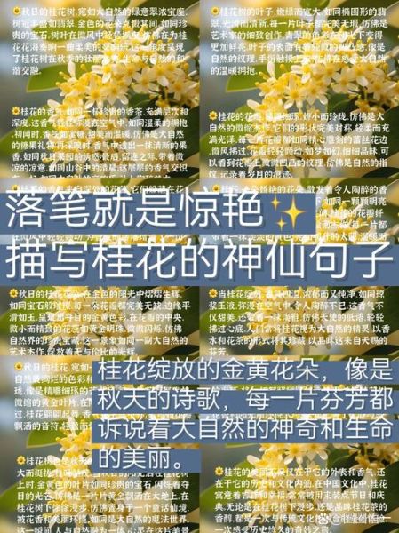 特别的美作文怎么写_特别的美作文素材有哪些-第3张图片-星辰妙记