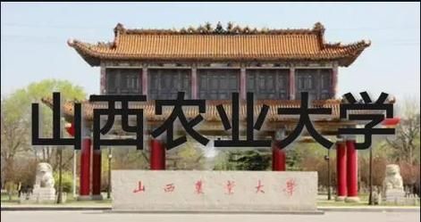 山西农业大学信息学院怎么样_录取分数线是多少-第2张图片-星辰妙记 山西农业大学信息学院怎么样_录取分数线是多少-第2张图片-星辰妙记