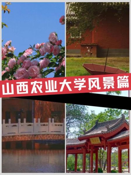 山西农业大学在哪个城市_山西农业大学具体位置-第3张图片-星辰妙记 山西农业大学在哪个城市_山西农业大学具体位置-第3张图片-星辰妙记