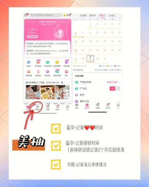 孕妇软件哪个好用_孕妇软件安全吗-第1张图片-星辰妙记 孕妇软件哪个好用_孕妇软件安全吗-第1张图片-星辰妙记