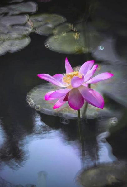 折返镜头哪款好_折返镜头推荐2024-第1张图片-星辰妙记 折返镜头哪款好_折返镜头推荐2024-第1张图片-星辰妙记