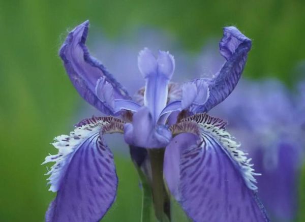 折返镜头哪款好_折返镜头推荐2024-第3张图片-星辰妙记 折返镜头哪款好_折返镜头推荐2024-第3张图片-星辰妙记