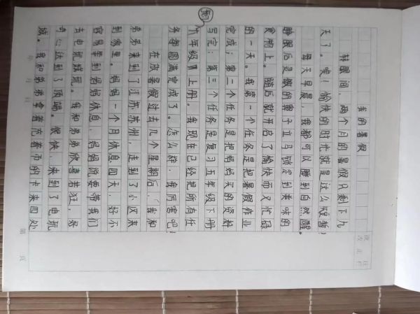 暑假生活作文600字怎么写_如何写出真情实感-第2张图片-星辰妙记