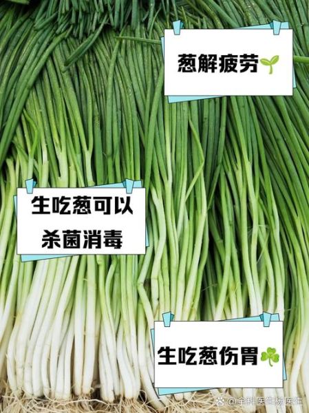 孕妇能吃葱吗_怀孕吃葱对胎儿好吗-第1张图片-星辰妙记