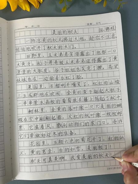 三年级作文秋天怎么写_秋天有哪些景色-第2张图片-星辰妙记