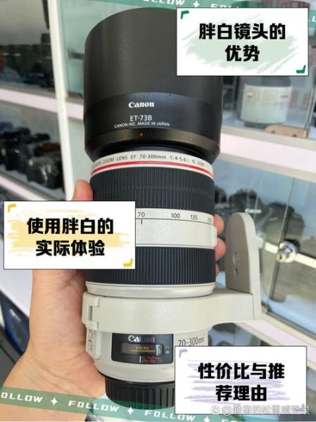佳能70-300镜头值得买吗_画质锐度如何-第1张图片-星辰妙记