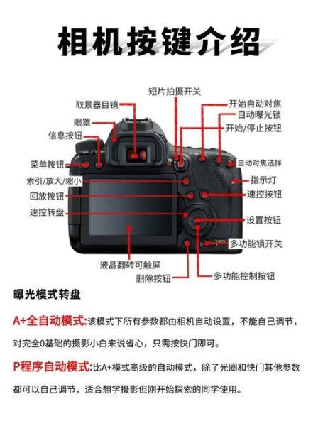 单反镜头松动怎么办_镜头卡口晃动怎么修-第1张图片-星辰妙记