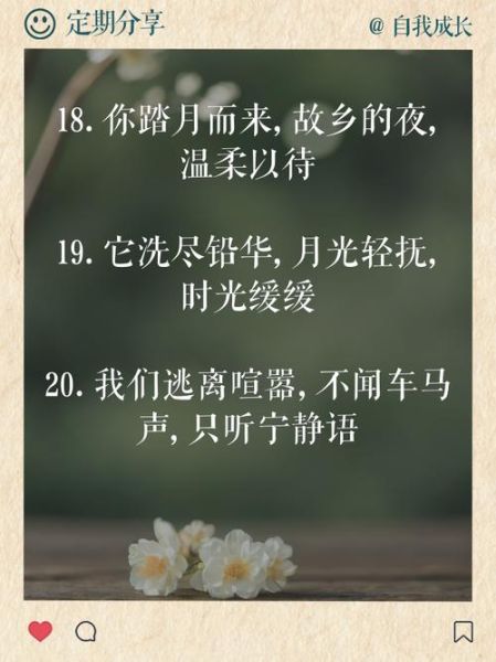 家乡夜色怎么写_描写夜色的优美句子-第2张图片-星辰妙记