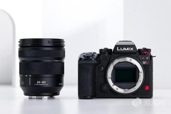 松下微单镜头怎么选_松下微单镜头推荐-第2张图片-星辰妙记