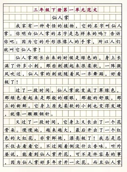 仙人掌怎么养_仙人掌的作文怎么写-第2张图片-星辰妙记