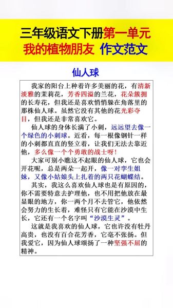 仙人掌怎么养_仙人掌的作文怎么写-第1张图片-星辰妙记