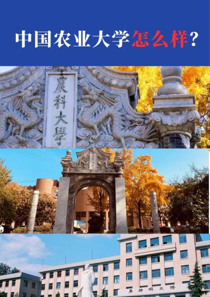 中国农业大学地址在哪里_中国农业大学有几个校区-第3张图片-星辰妙记 中国农业大学地址在哪里_中国农业大学有几个校区-第3张图片-星辰妙记
