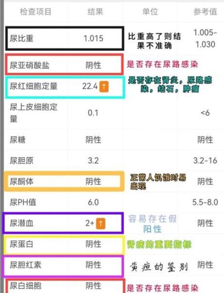 孕妇尿检细菌高是怎么回事_对胎儿有影响吗-第3张图片-星辰妙记