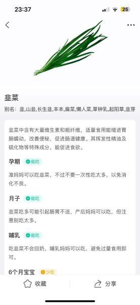 孕妇能吃韭菜吗_孕妇吃韭菜注意事项-第2张图片-星辰妙记