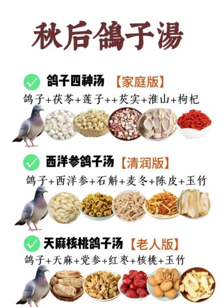 孕妇可以吃鸽子吗_孕妇吃鸽子汤的好处-第3张图片-星辰妙记 孕妇可以吃鸽子吗_孕妇吃鸽子汤的好处-第3张图片-星辰妙记