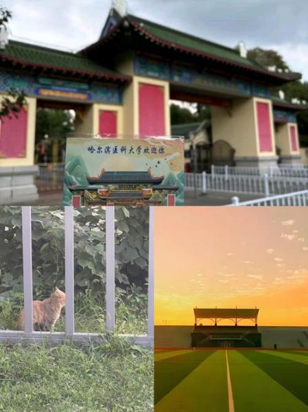 哈尔滨医科大学怎么样_哈尔滨医科大学值得报考吗-第1张图片-星辰妙记 哈尔滨医科大学怎么样_哈尔滨医科大学值得报考吗-第1张图片-星辰妙记