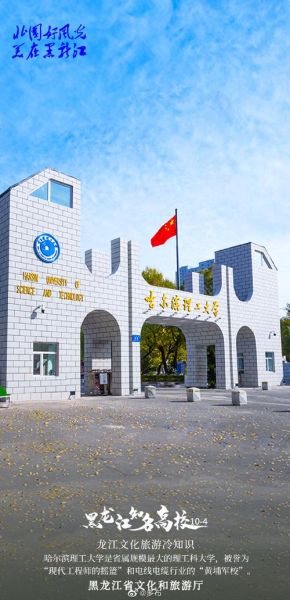 东北林业大学教务系统登录入口_忘记密码怎么办-第3张图片-星辰妙记