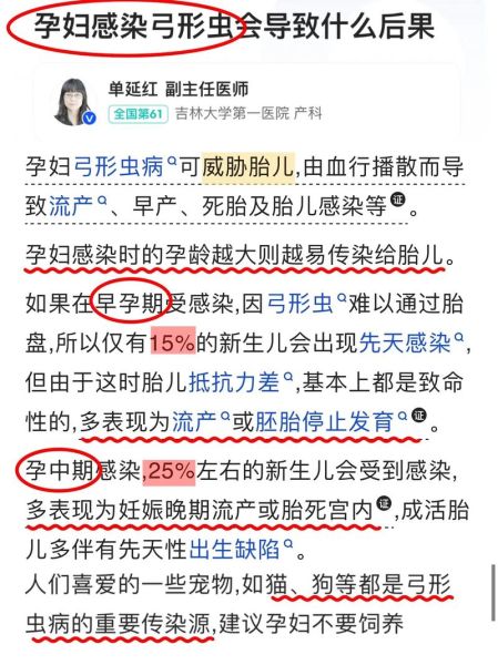 孕妇感染弓形虫的症状_对胎儿有什么影响-第2张图片-星辰妙记 孕妇感染弓形虫的症状_对胎儿有什么影响-第2张图片-星辰妙记