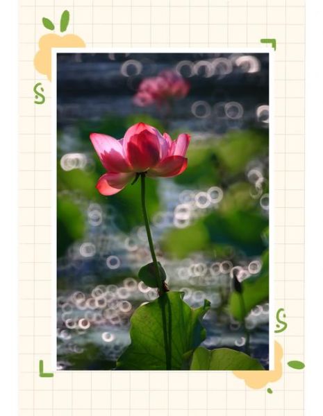 自制折返镜头教程_折返镜头拍摄效果如何-第1张图片-星辰妙记