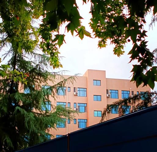 西安石油大学占地面积_有多大-第3张图片-星辰妙记