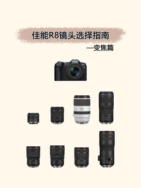 佳能微焦镜头怎么选_佳能微距镜头推荐-第1张图片-星辰妙记