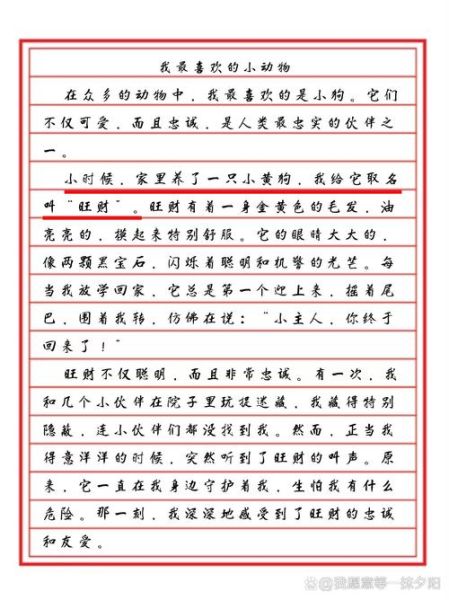 我喜欢的小动物作文怎么写_小学生写小动物作文技巧-第2张图片-星辰妙记