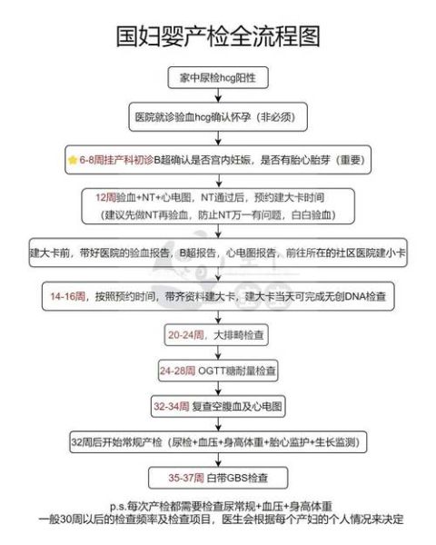 外国孕妇在中国生孩子需要什么手续_外国孕妇在中国产检流程-第3张图片-星辰妙记